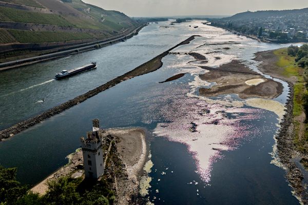Đoạn sông Rhine khô cạn do thời tiết nắng nóng ở Bingen (Đức). - Sputnik Việt Nam