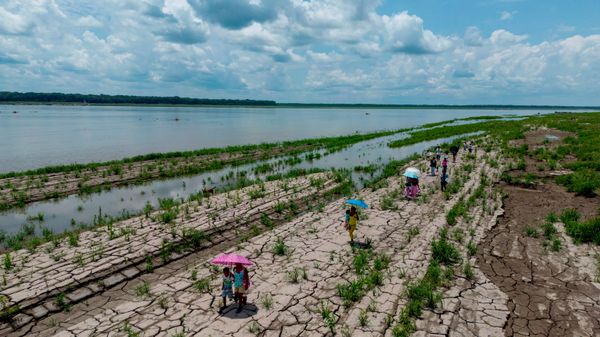 Hạn hán ở sông Amazon thuộc Colombia - Sputnik Việt Nam
