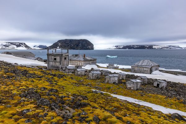 Trạm nghiên cứu cũ vùng cực "Vịnh Tikhaya" trên đảo Hooker thuộc quần đảo Franz Josef Land - Sputnik Việt Nam