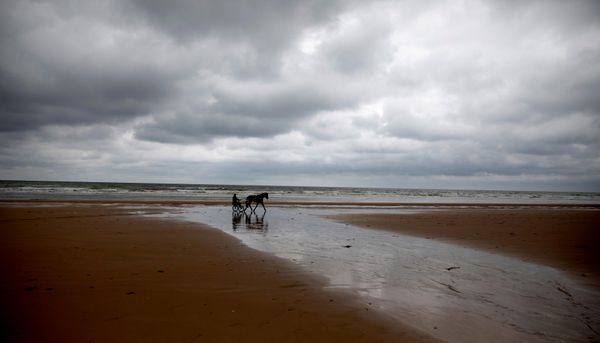 Một người đàn ông ngồi trên xe ngựa kéo tại bãi biển Omaha ở Saint-Laurent-sur-Mer, Normandy, Pháp - Sputnik Việt Nam