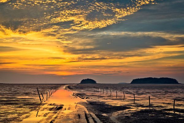 Bãi triều Getbol, ​​được công nhận là di sản thế giới tại kỳ họp thứ 48 của Ủy ban UNESCO ở Busan, Hàn Quốc - Sputnik Việt Nam