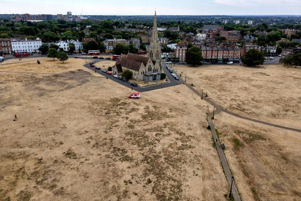 Nhà thờ All Saints ở Blackheath, London và thảm thực vật khô héo bao quanh. - Sputnik Việt Nam