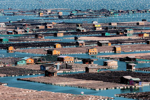 Bức ảnh Fish-farming cages (Lồng nuôi cá của Qingsheng Sun), người lọt vào vòng chung kết hạng mục Human Connection: People & Ocean Planet Award (Kết nối nhân sinh: Con người & Đại dương) của cuộc thi Ocean Photographer of the Year 2026 - Sputnik Việt Nam