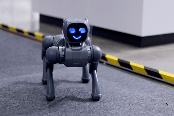 Gian hàng triển lãm robot tại Hội nghị robot thế giới ở Bắc Kinh. - Sputnik Việt Nam