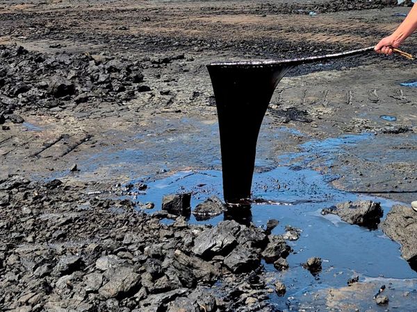 Hồ Asphalt ở Trinidad. Hồ này nằm trong miệng núi lửa bùn và là nguồn nhựa đường tự nhiên, vì vậy không thể tắm bơi ở đây được Hồ Asphalt ở Trinidad. Hồ này nằm trong miệng núi lửa bùn và là nguồn nhựa đường tự nhiên, vì vậy không thể tắm bơi ở đây được - Sputnik Việt Nam