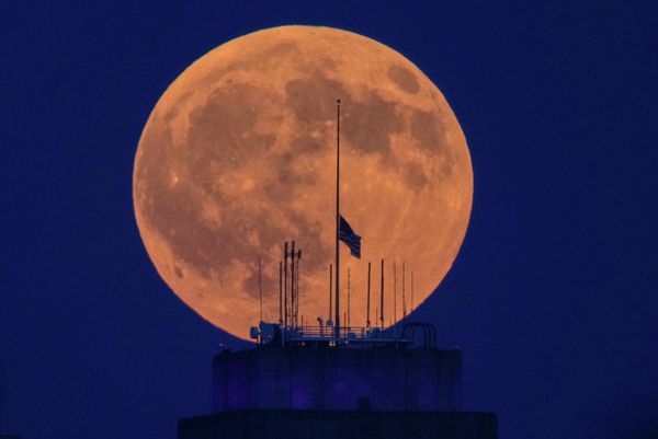 Hiện tượng Trăng tròn tháng 8 được gọi là Trăng Cá Tầm (Sturgeon Moon).Ảnh: Trăng tròn mọc trên Tòa thị chính ở trung tâm thành phố Kansas City, Missouri - Sputnik Việt Nam