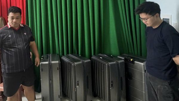 Tôm hùm giống bị cơ quan chức năng Khánh Hòa phát hiện - Sputnik Việt Nam
