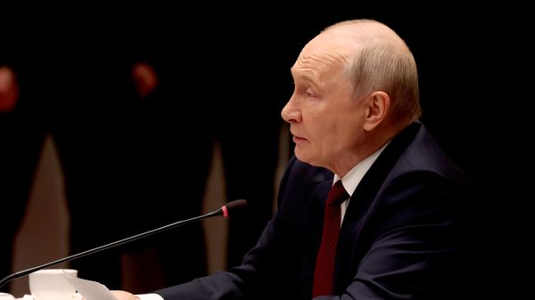 Tổng thống Nga Vladimir Putin - Sputnik Việt Nam
