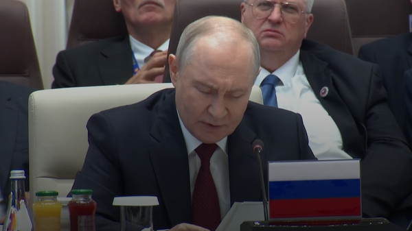 Ông Putin: Tiềm năng của LHQ còn nhiều, cần nỗ lực nâng cao hiệu quả của tổ chức này - Sputnik Việt Nam
