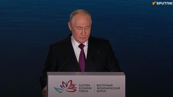 Tổng thống Putin: Hoạt động hàng hải dọc theo hành lang xuyên Bắc Cực cần được thực hiện quanh năm - Sputnik Việt Nam