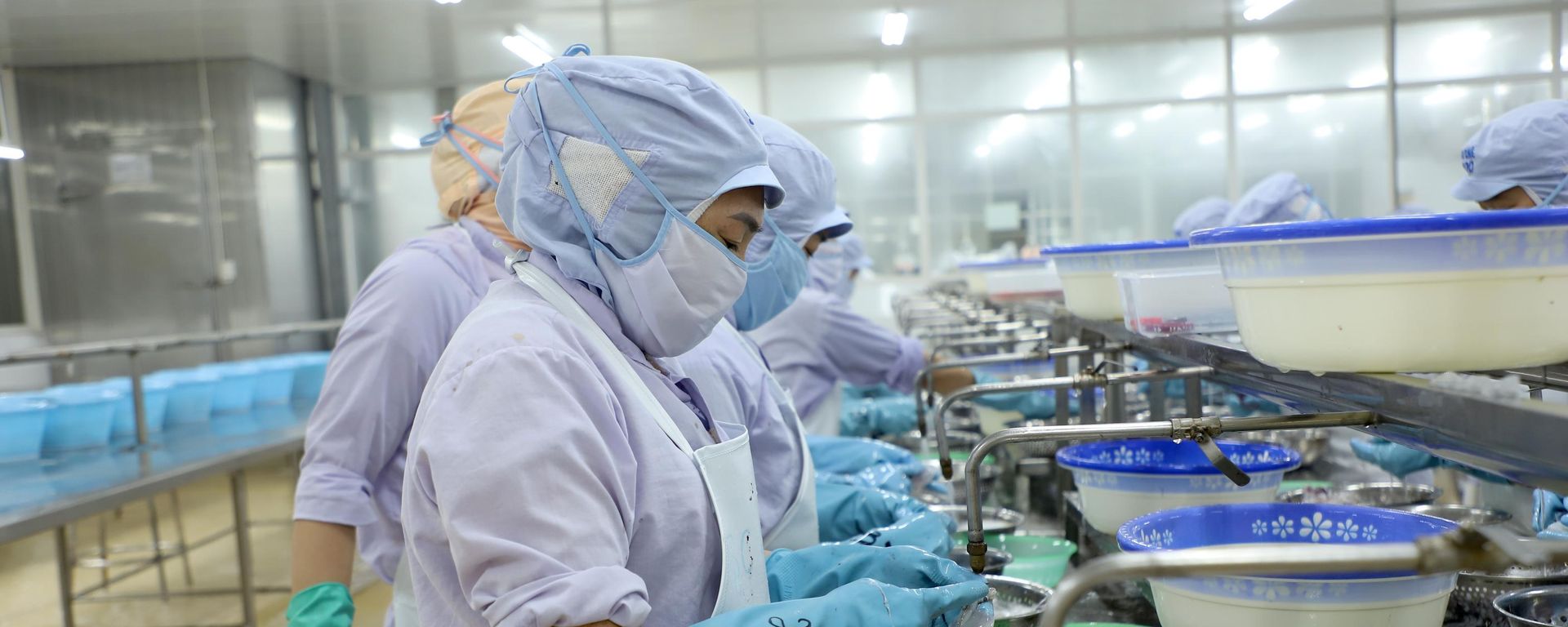 Công nhân tỉ mỉ xử lý nguyên liệu thủy sản trên dây chuyền, bảo đảm tiêu chuẩn an toàn thực phẩm xuất khẩu - Sputnik Việt Nam, 1920, 28.09.2026