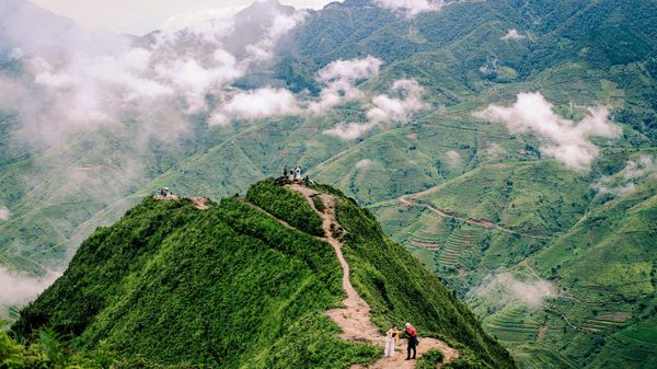 Sống lưng khủng long Tà Xùa - Sputnik Việt Nam