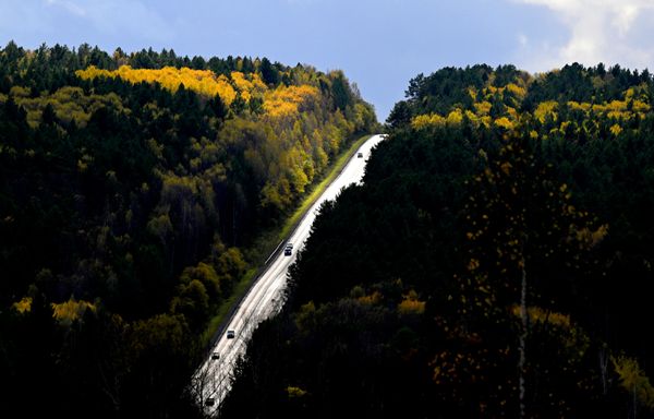 Tuyến đường cao tốc liên bang R-257 chạy qua vùng rừng taiga Siberia vào mùa thu ở khu vực Balakhta-Novosyolovo, vùng Krasnoyarsk. - Sputnik Việt Nam
