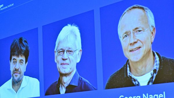 Các nhà khoa học đoạt giải Nobel Sinh lý học hoặc Y học năm 2026: Karl Deisseroth, Peter Hegemann và Georg Nagel. - Sputnik Việt Nam