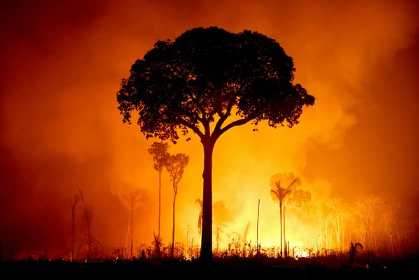 Một phần vùng rừng nhiệt đới bị nhấn chìm trong biển lửa ở Amazon, Brazil. - Sputnik Việt Nam