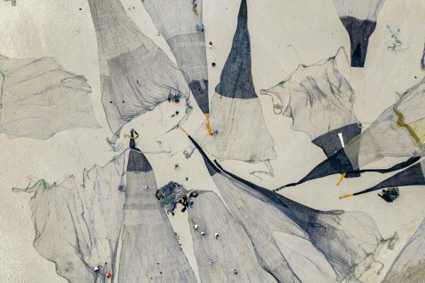 Ảnh «Sinh vật thủy triều» của Mohammed Al Balushi, đoạt giải Nhất hạng mục cuộc thi Drone Photo Awards 2026. Ảnh «Sinh vật thủy triều» của Mohammed Al Balushi, đoạt giải Nhất hạng mục cuộc thi Drone Photo Awards 2026. - Sputnik Việt Nam