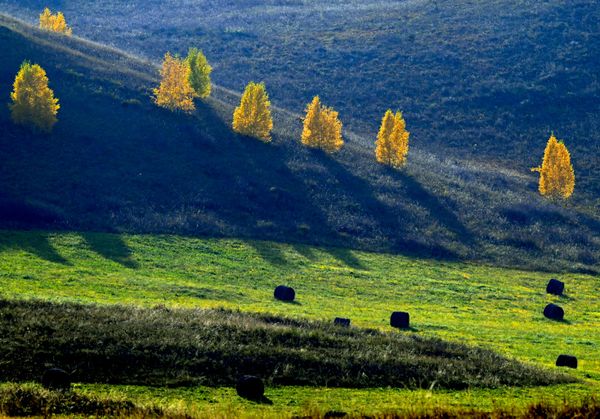 Những bó rơm trên cánh đồng ở huyện Bogradsky, Cộng hòa Khakassia. - Sputnik Việt Nam
