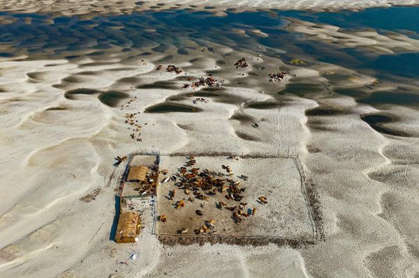 Tác phẩm Life on a Sandbar của nhiếp ảnh gia  Bangladesh Solayman Hossain. Giải Nhất. Hạng mục: Hành tinh của tôi, ảnh đơn - Sputnik Việt Nam