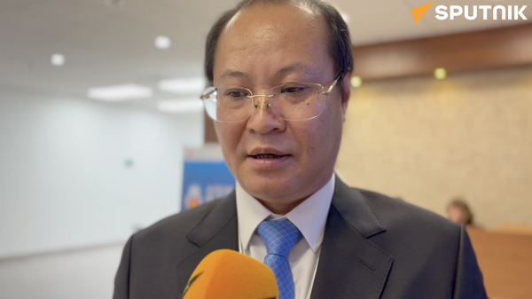 35 năm quan hệ Nga - ASEAN: Việt Nam thể hiện vai trò đặc biệt - Sputnik Việt Nam