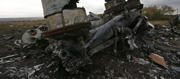 Tai nạn máy bay Boeing ở Ukraina - Sputnik Việt Nam