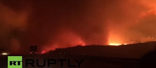 Địa ngục trần gian: Đi qua cánh rừng bị đốt cháy - Sputnik Việt Nam