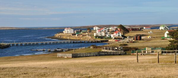 Goose Green, Falkland Islands - Sputnik Việt Nam