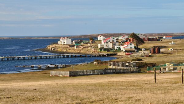 Goose Green, Falkland Islands - Sputnik Việt Nam