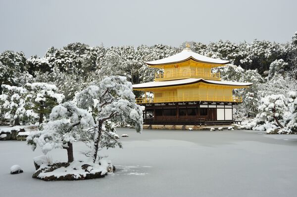 Frozen Beauty: Where Winter Fairy Tales Come True - Sputnik Việt Nam