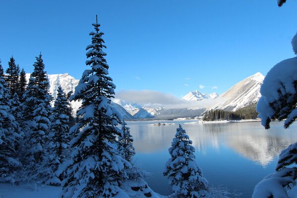 Frozen Beauty: Where Winter Fairy Tales Come True - Sputnik Việt Nam