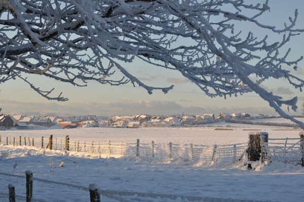 Frozen Beauty: Where Winter Fairy Tales Come True - Sputnik Việt Nam