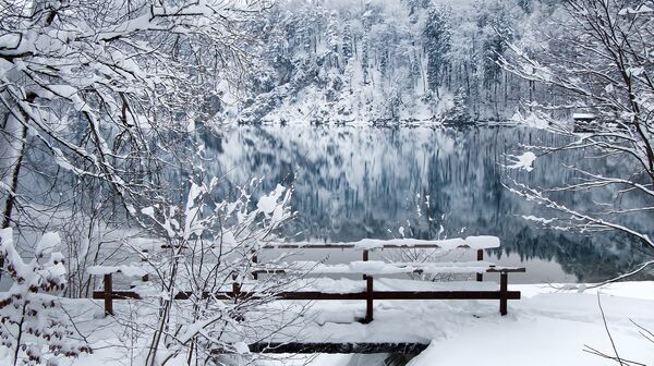 Frozen Beauty: Where Winter Fairy Tales Come True - Sputnik Việt Nam