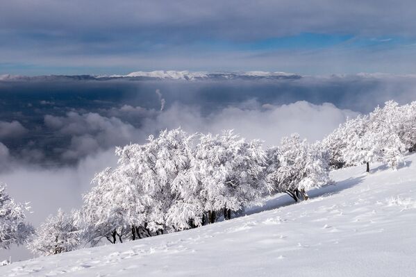 Frozen Beauty: Where Winter Fairy Tales Come True - Sputnik Việt Nam