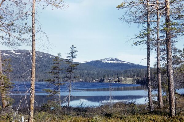 Cảnh hồ Chuna trong Khu bảo tồn thiên nhiên Laplandsky ở tỉnh Murmansk - Sputnik Việt Nam