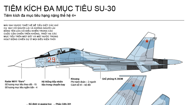 TIÊM KÍCH ĐA MỤC TIÊU SU-30 - Sputnik Việt Nam