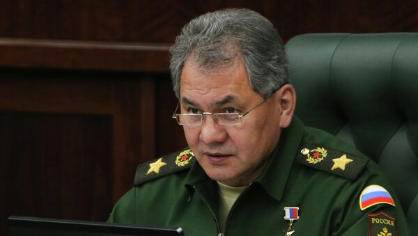 Tướng Sergei Shoigu, Bộ trưởng Quốc phòng Nga - Sputnik Việt Nam