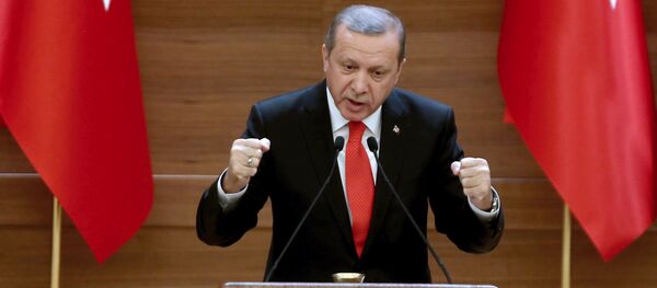 Recep Tayyip Erdogan Recep Tayyip Erdogan - Sputnik Việt Nam