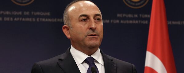 Mevlut Cavusoglu - Sputnik Việt Nam