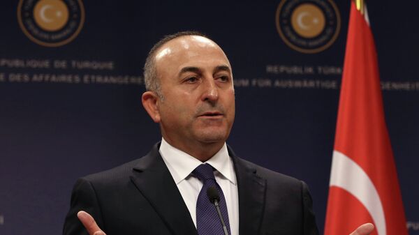 Mevlut Cavusoglu - Sputnik Việt Nam