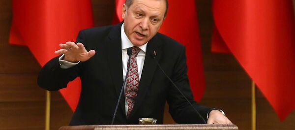 Recep Tayyip Erdogan - Sputnik Việt Nam