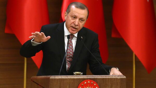 Recep Tayyip Erdogan - Sputnik Việt Nam