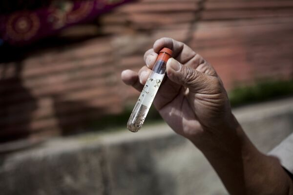 Cẩn thận: Sốt xuất huyết tăng hàng ngày - Sputnik Việt Nam