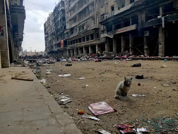 Thành phố Aleppo, Syria Thành phố Aleppo, Syria - Sputnik Việt Nam