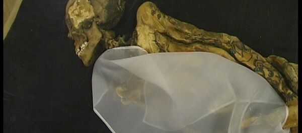 “Công chúa Ukok” “Công chúa Ukok” - Sputnik Việt Nam