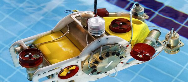 Các sinh viên Nga tham gia Giải vô địch châu Á về kỹ thuật robot - Sputnik Việt Nam