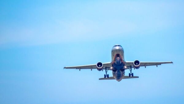 Máy bay A320 của hãng hàng không “Aeroflot” - Sputnik Việt Nam