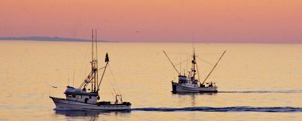Tàu cá - Sputnik Việt Nam