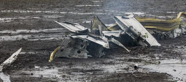 Chiếc máy bay chở khách Boeing 737-800 đã bị rơi tại sân bay Rostov-na-Donu - Sputnik Việt Nam