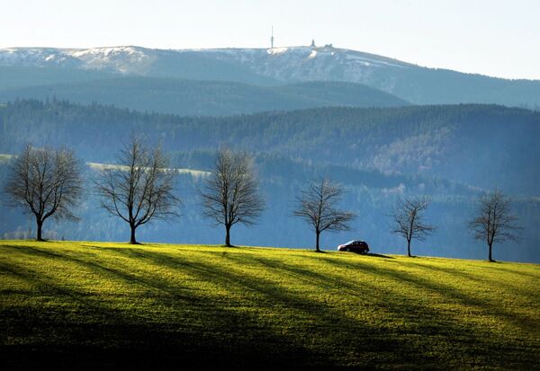 Cảnh rừng Schwarzwald - Sputnik Việt Nam