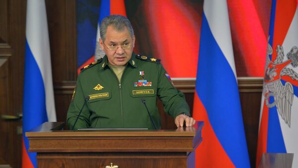 Sergei  Shoigu - Sputnik Việt Nam