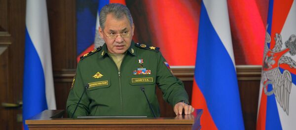 Sergei  Shoigu - Sputnik Việt Nam